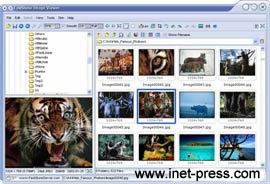 FastStone Image Viewer 1.9