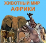 Животный мир Африки