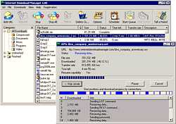 Internet Download Manager 4.03